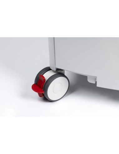 Aspirateur mobile professionnel double Rupes KS300EP