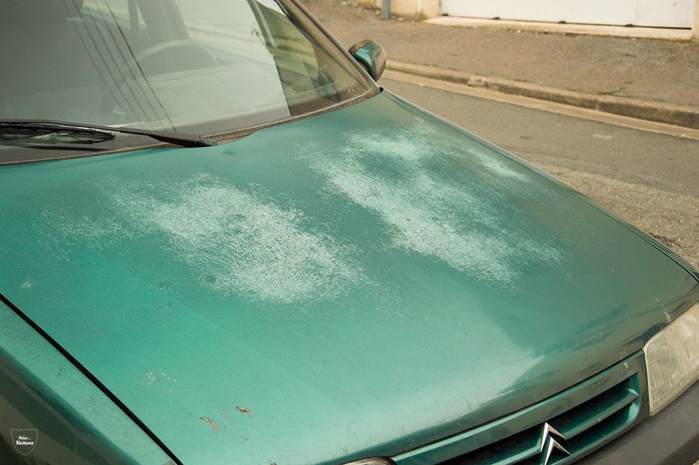 Retouche Vernis Voiture
